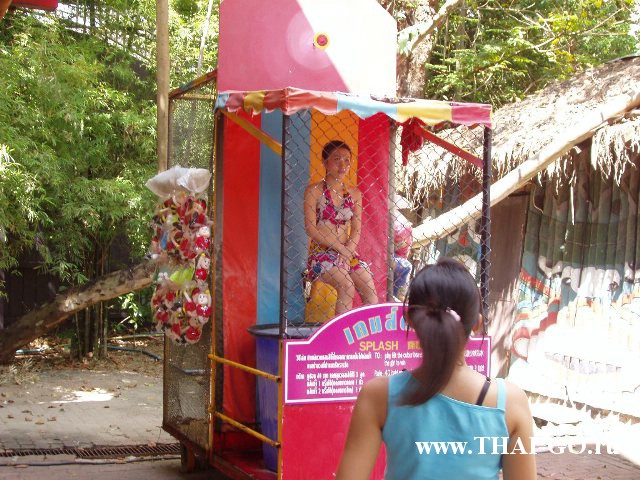 �������, ����, ������ ����