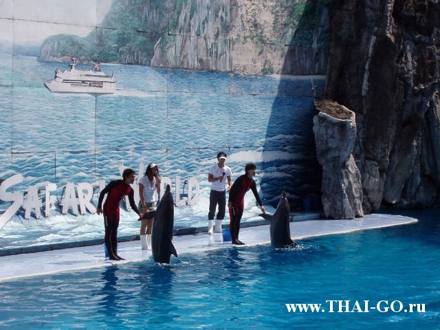 �������, ����, ������ ����