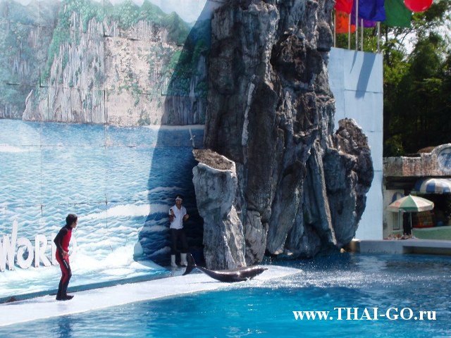 �������, ����, ������ ����