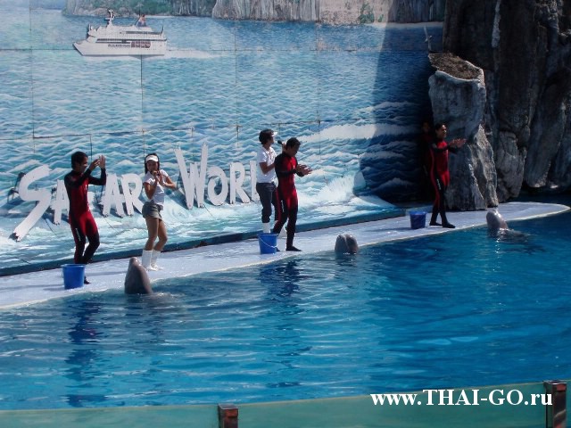 �������, ����, ������ ����