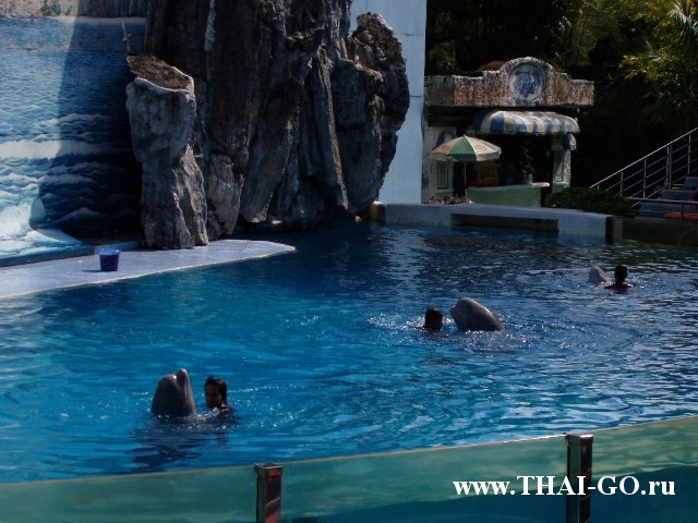 �������, ����, ������ ����