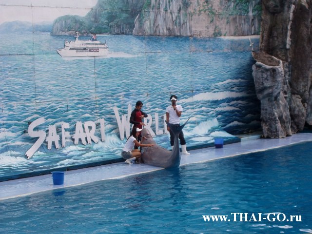 �������, ����, ������ ����