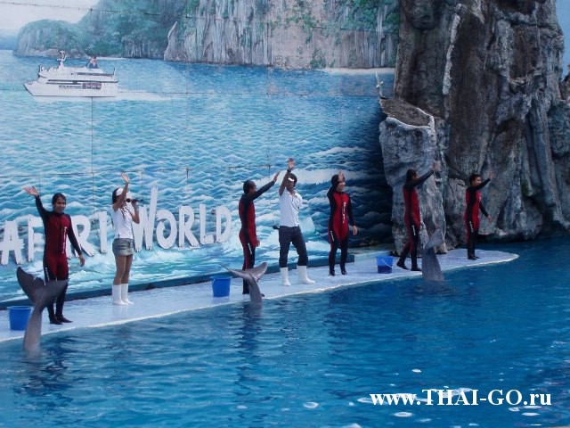 �������, ����, ������ ����