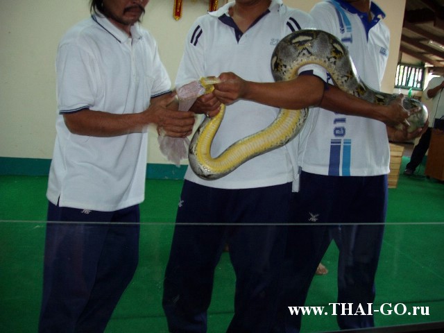 �������, ����, ������� �����