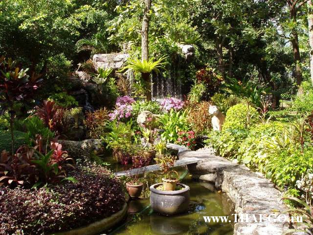 �������, ����, �������� �������