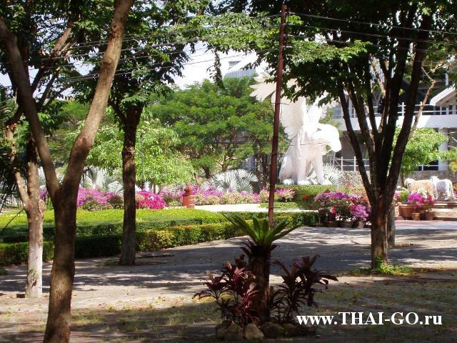 �������, ����, �������� �������