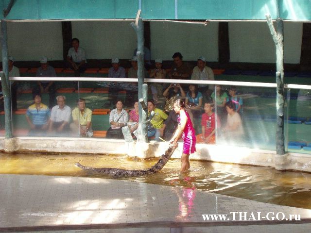 �������, ����, �������� �������