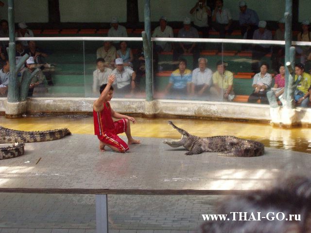 �������, ����, �������� �������