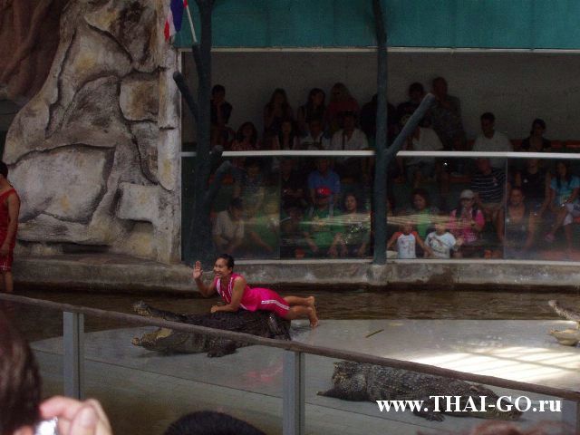 �������, ����, �������� �������