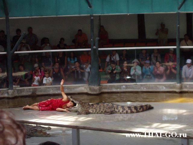 �������, ����, �������� �������