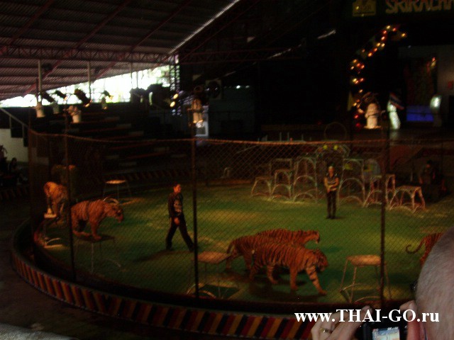 �������, ����, �������� �������