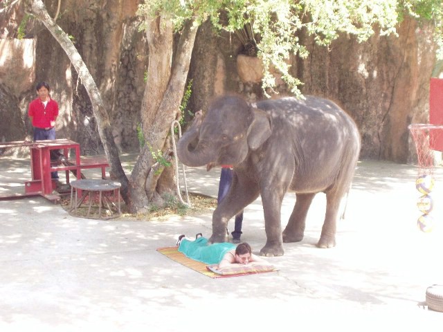 �������, ����, �������� �������