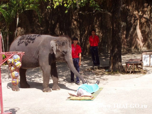 �������, ����, �������� �������