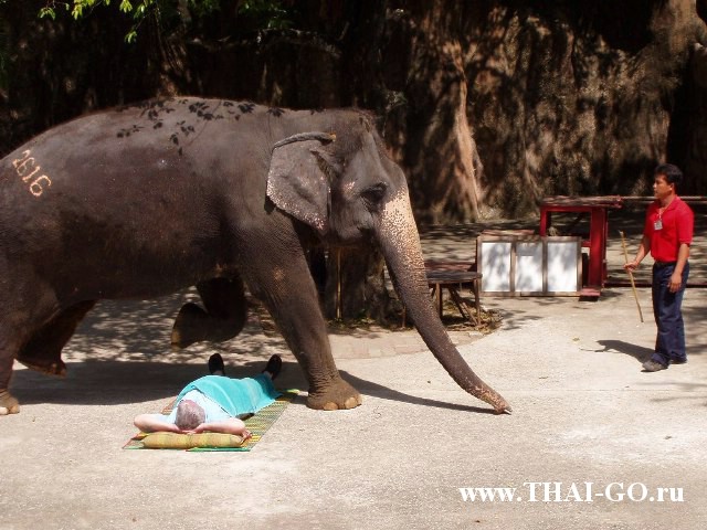 �������, ����, �������� �������