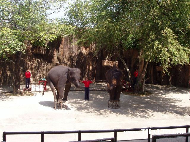 �������, ����, �������� �������