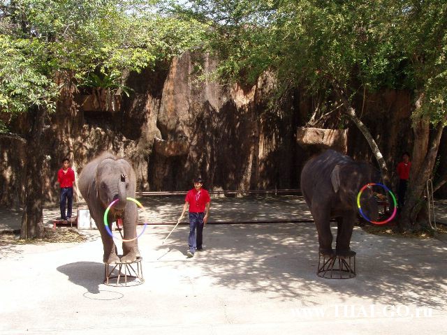 �������, ����, �������� �������