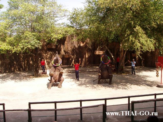 �������, ����, �������� �������