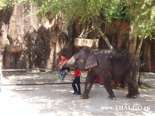 �������, ����, �������� �������