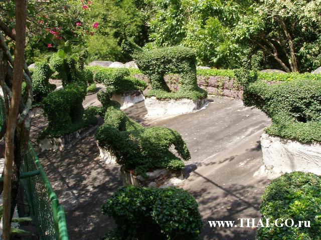 �������, ����, �������� �������