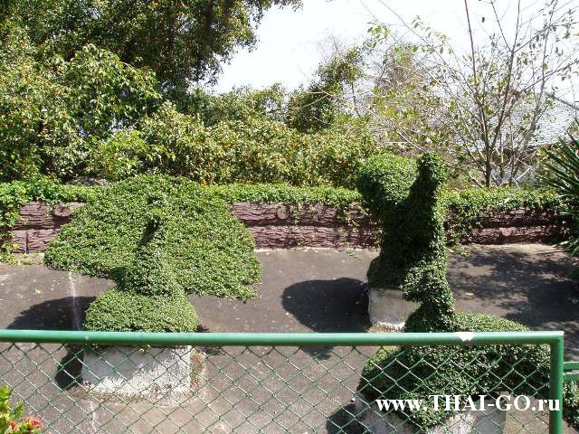 �������, ����, �������� �������