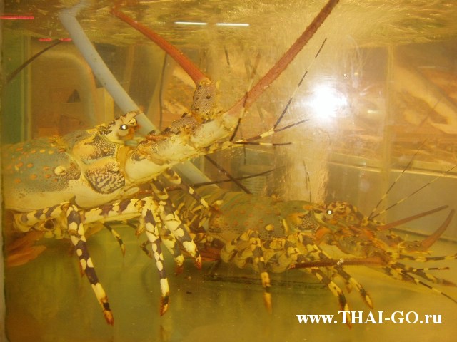 �������, ����, walking street