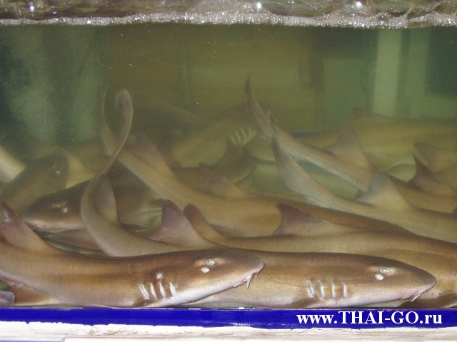 �������, ����, walking street